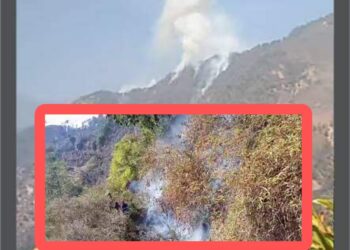 तिन दिनदेखि लागेको डढेलो नियन्त्रण बाहिर