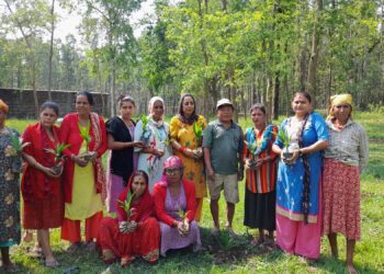 कानेपोखरी शुक्रबारेमा बृक्षारोपण