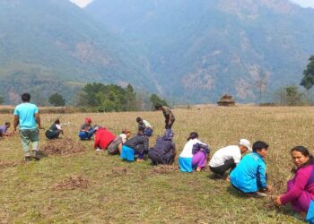 प्रथम भोटखोला महोत्सवको तयारी द्रुत गतिमा हुँदै,आगामी चैत ९,१० र ११ गते हुने
