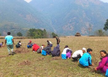 प्रथम भोटखोला महोत्सवको तयारी द्रुत गतिमा हुँदै,आगामी चैत ९,१० र ११ गते हुने