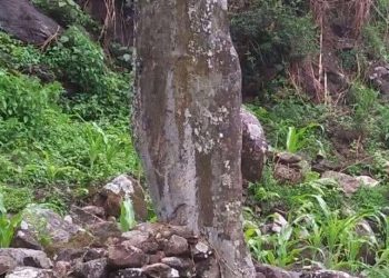 किरात शब्द के हो – जगतबहादुर योङ्हाङ
