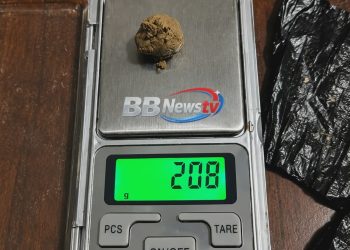 धरानमा ब्राउन सुगरसहित दुई जना पक्राउ, नगद र मोबाइल पनि बरामद