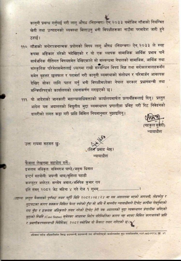 गाँजा खेतीलाई वैधानिकता दिन सर्वोच्चको परमादेश, तीन महिनाभित्र नियमावली बनाउन सरकारलाई निर्देशन